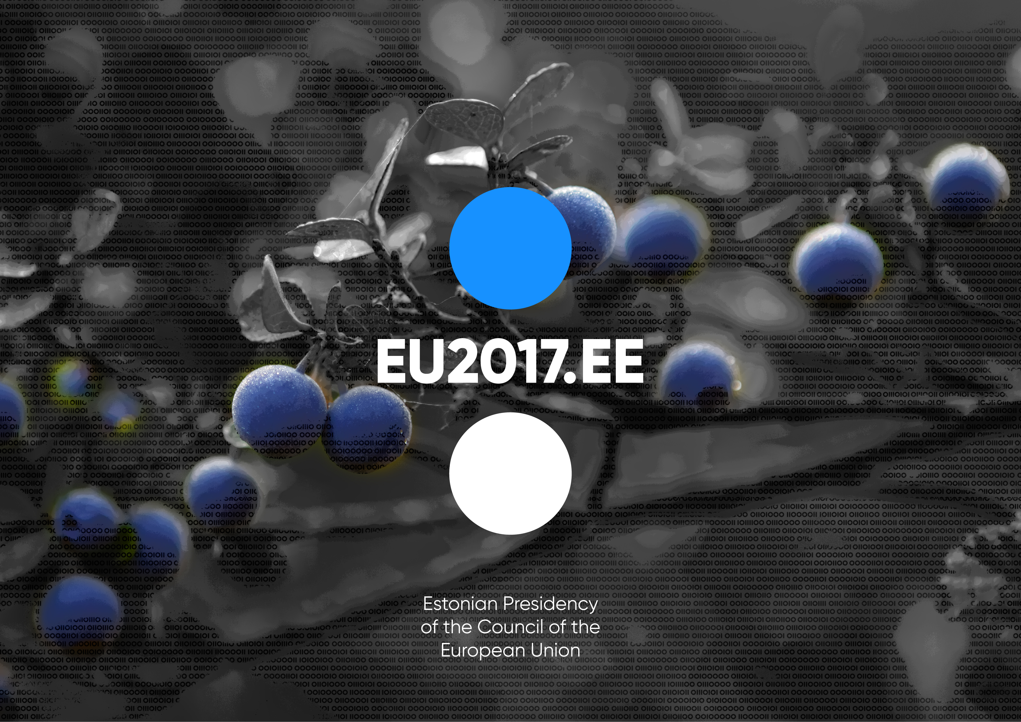eu2017_launch-04_0.jpg